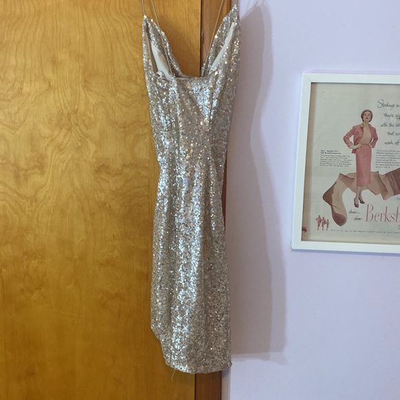 Windsor Sequin Dress - Picture 3 of 6